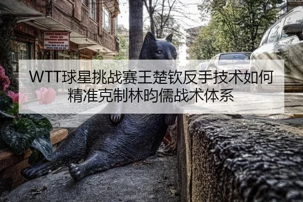 qiu-xing-tiao-zhan-sai-wang-chu-qin-fan-shou-ji-shu-ru-he-jing-zhun-ke-zhi-lin-yun-ru-zhan-shu-ti-xi-2-543.jpg
