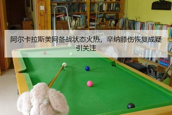 a-er-ka-la-si-mei-wang-bei-zhan-zhuang-tai-huo-re-xin-na-xi-shang-hui-fu-cheng-yi-yin-guan-zhu-2-455.jpg